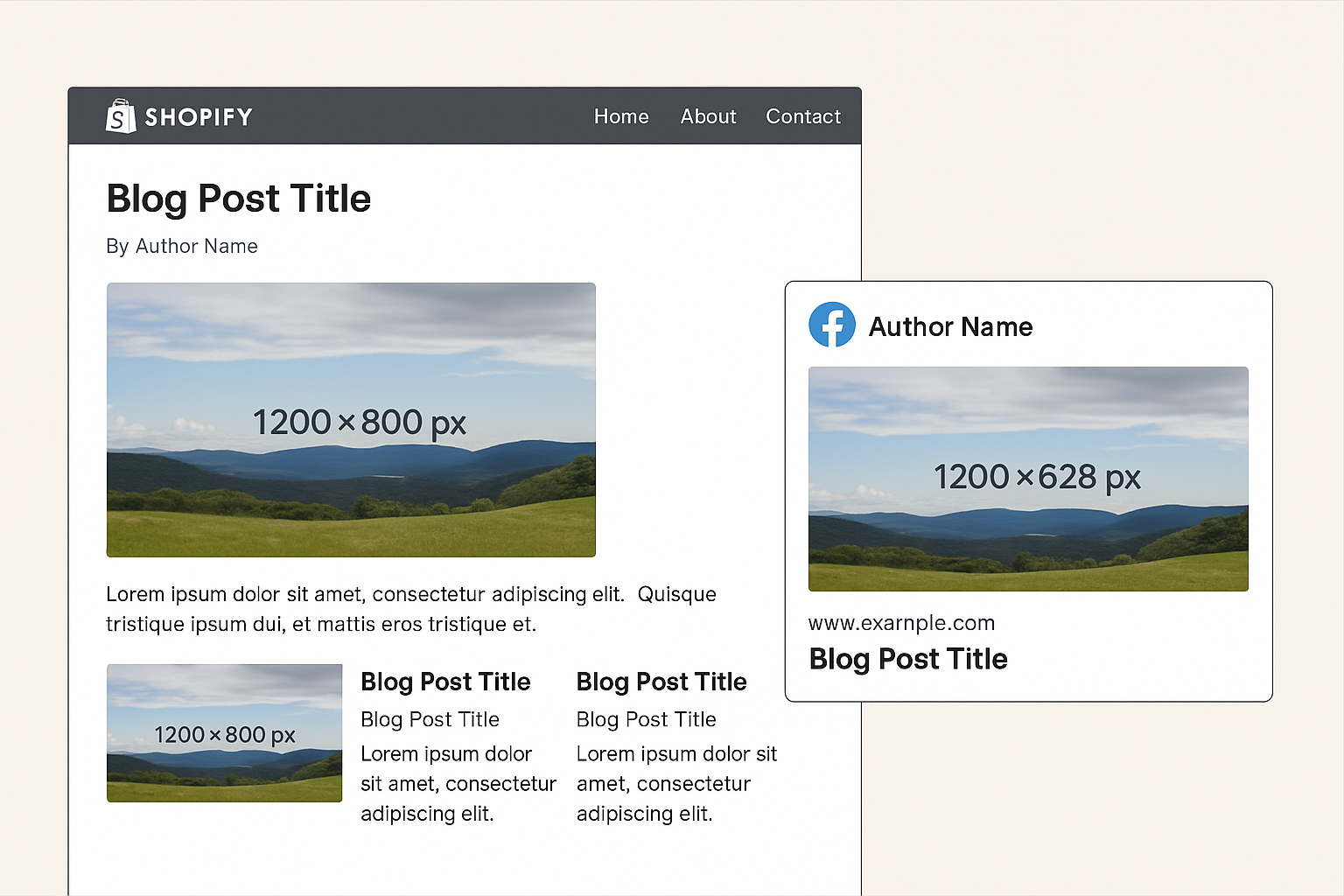 Shopify Background Example